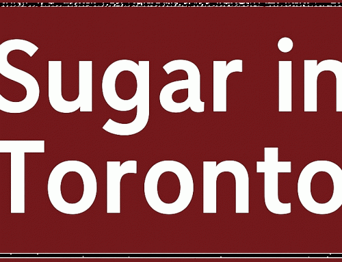 Escorts and Sugar Babies in Toronto: Sex, Power, and the City’s Secret Economy